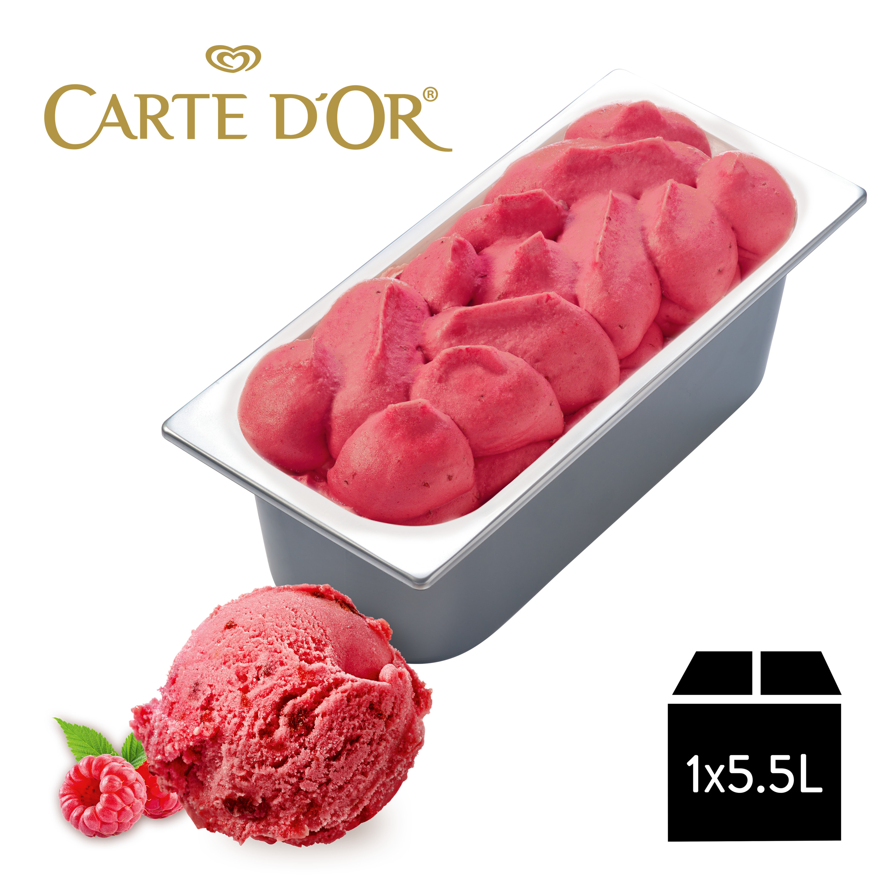 Carte D'Or Gelateria Himbeer-Sorbet 1x5,5l Eiswanne