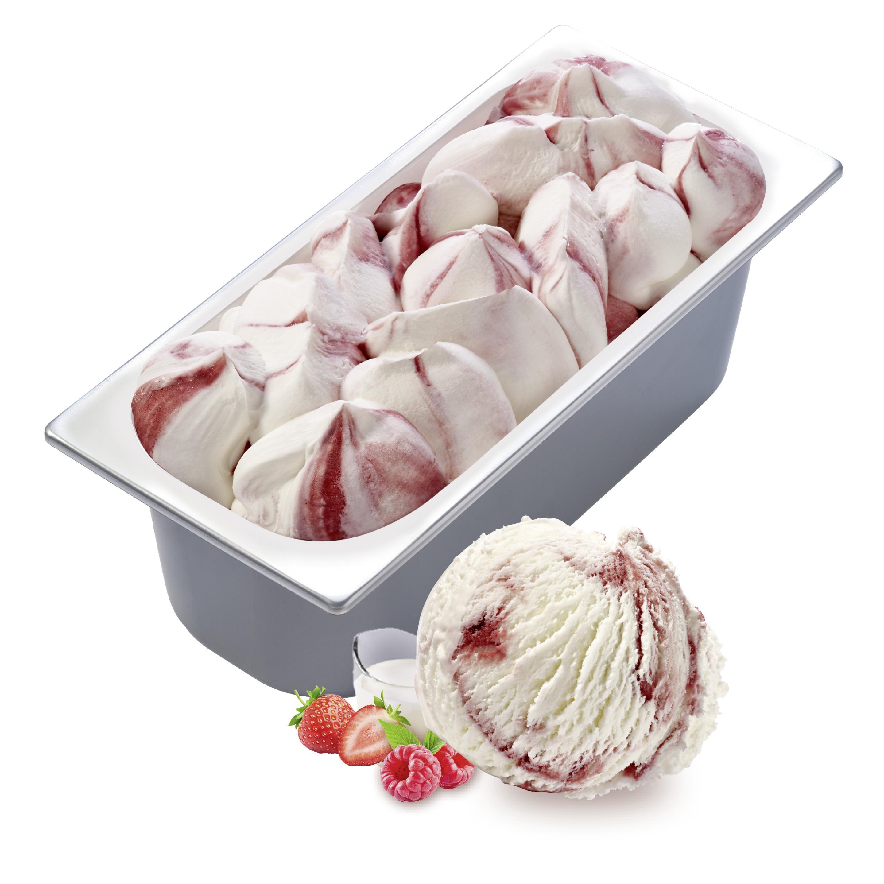 Carte D'Or Gelateria Joghurt-Waldfrucht 1x5,5l Eiswanne