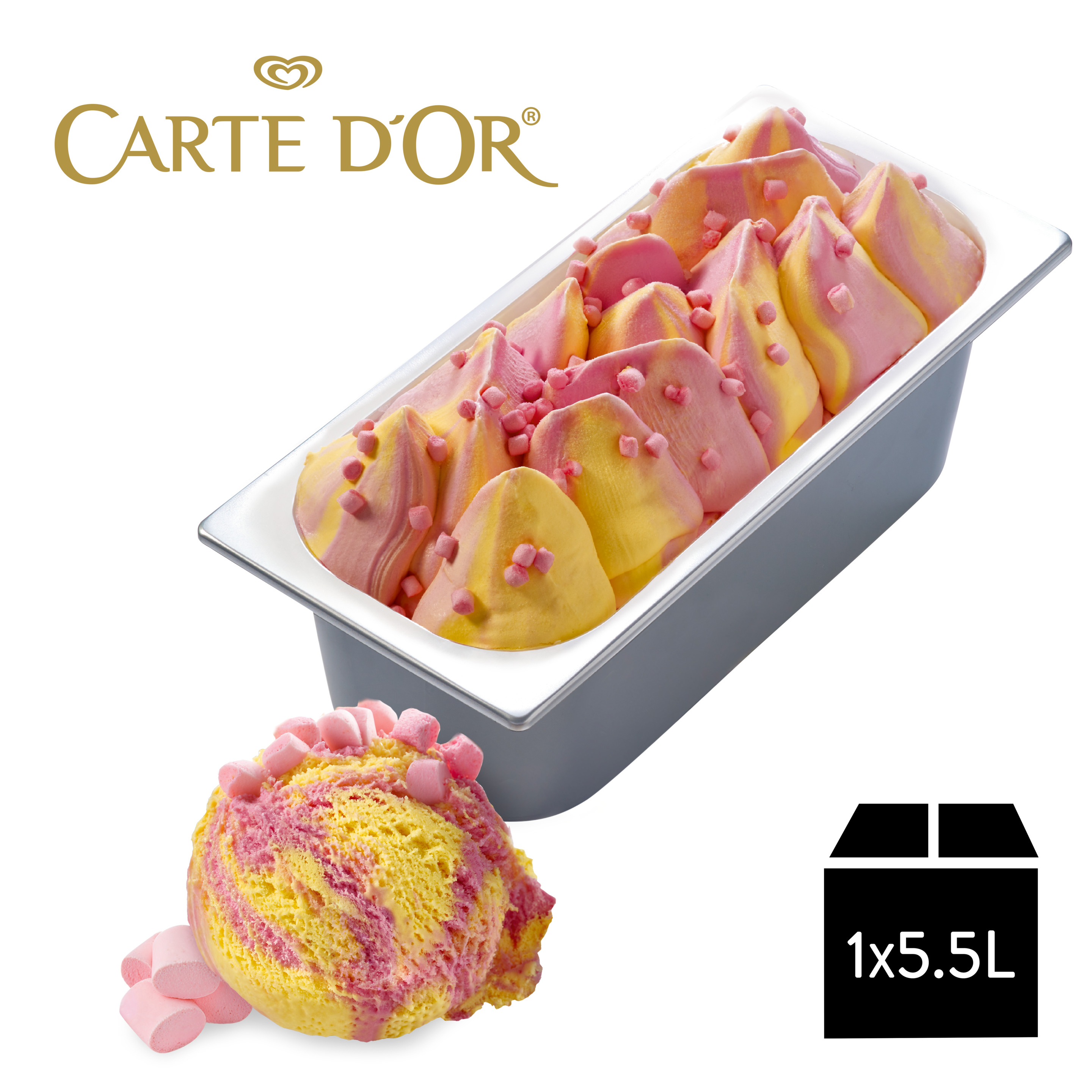 Carte D'Or Gelateria Bubblegum Marshmallow 1x5,5l Eiswanne