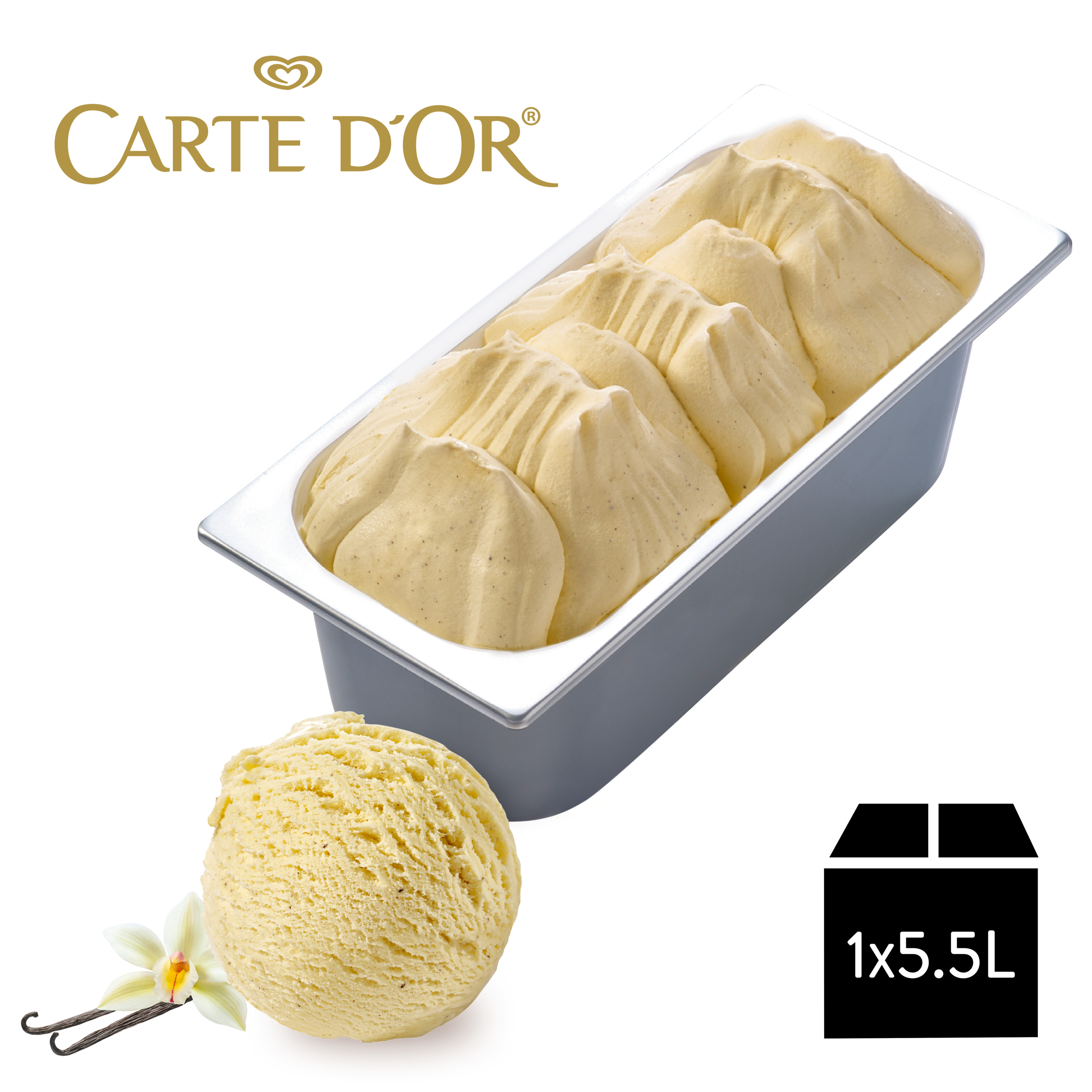 Carte D'Or Gelateria Vanille 1x5,5l Eiswanne